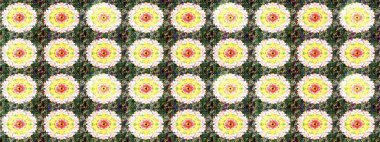 Küçük çiçekte güzel bir desen. Moda baskıları için zarif bir şablon. Motley illüstrasyonu. Küçük renkli çiçekler. Robot resim. Çiçekli yaz çiçekleri.