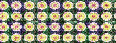 Düz Çiçek Elementleri Tasarımı. Çiçek deseni. Renkli Bahar Teması eskiz kalıbı. Chichi 'nin kumaş kalıbını çiz. Raster illüstrasyonu.