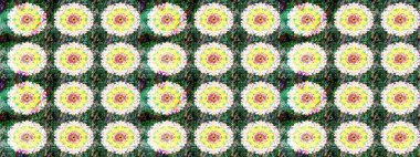 Raster deseni. Süslü kumaş deseni. Çiçekli çiçek deseni, suluboya..