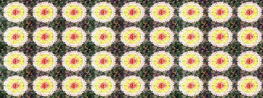 Flower composition. -neutral and yellow flowers. Floral background. Nature. Raster pattern. Floral collage. Nice pattern in the small flower.