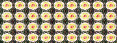 Flower composition. -neutral and yellow flowers. Floral background. Nature. Raster pattern. Floral collage. Nice pattern in the small flower.