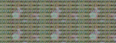 Çiçekli çiçek deseni, suluboya. Düz Çiçek Elementleri Tasarım Raster illüstrasyonu. Tarafsız ve gri renkli çiçekler. Renkli Bahar Teması çizim kalıbı.