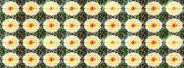 Modern çiçek arkaplanı. Halk tarzı. Parlak renkli çiçekleri ve yeşil ve nötr renklerde yaprakları olan harika bir çiçek deseni. Moda baskıları için zarif bir şablon.