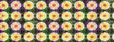 Güzel karalamalı çiçek desenli çizim. Güzel kumaş deseni. Raster illüstrasyonu. Küçük çiçekte sevimli çiçek deseni var..