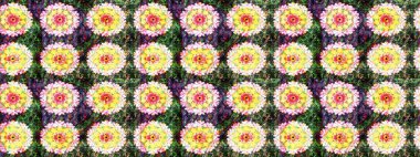 Tekstil, kumaş, kapaklar, duvar kağıtları, baskı, naylon, koleksiyon defteri, örgü, dekupaj için güzel bir eskiz. Millefleur 'lar. Küçük sarı ve yeşil renkte güzel bir besin torbası deseni, çiçekler..