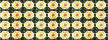 Düz Çiçek Elementleri Tasarımı. Renkli Bahar Teması eskiz kalıbı. Süslü kumaş deseni. Raster illüstrasyonunda çiçek deseni çizimi.