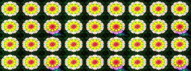 Renkli Yaz Temalı eskiz kalıbı. Sevimli çiçek raster deseni. Sarı ve gri renkli çiçekler. Düz Çiçek Elementleri Tasarımı.