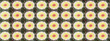 Arkaplan dokusu, duvar kağıdı, çiçek teması tarafsız ve yeşil renklerde. Kabile sanatı boho baskısı, klasik çiçek arkaplanı. Soyut etnik raster çizim kalıbı.