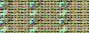 Büyük bir çiçek boyası seti. Raster şirin suluboya çiçek desenleri çiziyor. Kartlar, davetiyeler, tarih kartları ve daha fazlası için kullanılabilir.