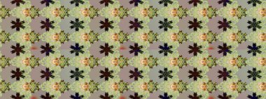 El çizimi Raster çizimi. Çizim çiçek deseni duvar kağıdı, web sitesi arka planı, ambalaj kağıdı, davetiye, broşür, afiş veya web sitesi için kullanılabilir. Karalama elementleri.