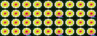 Renkli Yaz Temalı eskiz kalıbı. Sevimli çiçek raster deseni. Sarı ve gri renkli çiçekler. Düz Çiçek Elementleri Tasarımı.