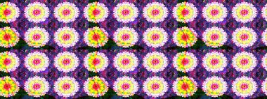 Raster illustration. Sketch flower pattern can be used for wallpaper. Flowers on violet and yellow colors.