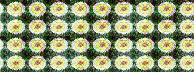 Düz Çiçek Elementleri Tasarımı. Eskiz klasiği. Raster Şirin kumaş deseni. Renkli Bahar Teması çizim şablonu.