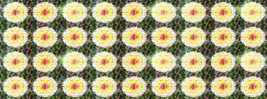 Modern çiçek arkaplanı. Halk tarzı. Parlak renkli çiçekleri ve yeşil ve nötr renklerde yaprakları olan harika bir çiçek deseni. Moda baskıları için zarif bir şablon.