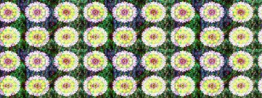 Çiçek deseni. Chichi 'nin kumaş kalıbını çiz. Renkli Bahar Teması eskiz kalıbı. Raster illüstrasyonu. Düz Çiçek Elementleri Tasarımı.