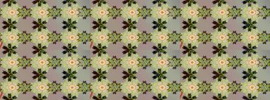 Gri ve nötr renklerde. Çiçekli tebrik kartı. Doğum günü kartı ya da düğün davetiyesi. Raster illüstrasyonu. Suluboya çiçek buketi. Çiçek arka planı.