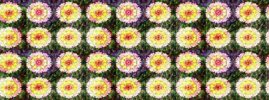 Sarı ve yeşil renklerde bahar çiçekleri. Raster illüstrasyonu. Yaprak ve çiçeklerin suluboya resimleri, sarı ve yeşil renkler üzerine çizimler..