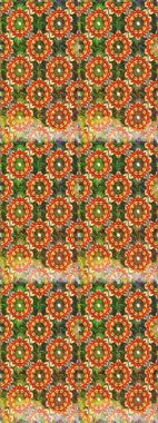 Süslü dekorasyon. Raster klasik barok çiçeksiz altın desenli. Kahverengi ve turuncu renklerde altın desenli altın elementler. Lüks, kraliyet ve Viktorya dönemi konsepti.