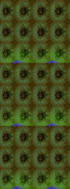 Yeşil ve gri lale çiçekli Raster eskiz deseni. Karşılama ya da düğün geçmişi olarak kullanılabilir. Doğal kozmetik ürünleri, parfüm, çiçekçi dükkanı için bahar ihalesi tasarımı. Paket kağıdı için en iyisi..