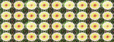 Çiçeksel elementlerle süslenmiş zarif raster dokusu. Küçük çiçekte hoş bir çiçek deseni var. Parlak çiçekli yeşil ve sarı renkler üzerine soyut çizim deseni.