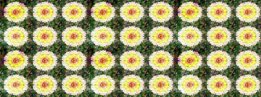 Güzel karalamalı çiçek desenli çizim. Küçük çiçekteki sevimli çiçek deseni. Raster illüstrasyonu. Güzel kumaş deseni.