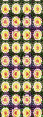 Çizim çiçek deseni duvar kağıdı, web sitesi arka planı, ambalaj kağıdı, davetiye, broşür, afiş veya web sitesi için kullanılabilir. Karalama elementleri. El çizimi Raster illüstrasyonu.