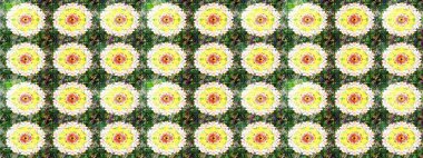 Elle boyanmış suluboya resim çizimleri, çiçekler ve bitkiler. Yeşil ve sarı renkte çiçekler.