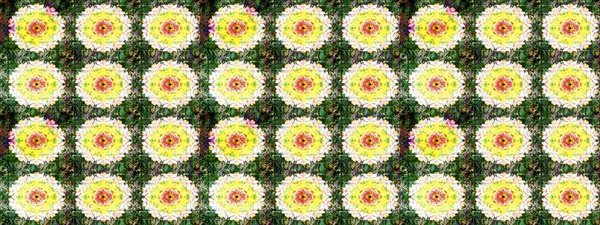 Güzel karalamalı çiçek desenli çizim. Küçük çiçekteki sevimli çiçek deseni. Raster illüstrasyonu. Güzel kumaş deseni.