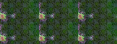 Büyük bir çiçek boyası seti. Kartlar, davetiyeler, tarih kartları ve daha fazlası için kullanılabilir. Raster şirin suluboya çiçek deseni çizimi.