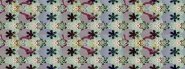 Gri ve nötr renkte çiçekler. Nazikçe, güzel çiçek arkaplanı. Raster çiçek desenli ve çiçekli..