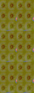 Çiçeksel fantezi tasarımı ve parlak bir arka plan çizimi. Renkli Bahar Teması eskiz kalıbı. Düz Çiçek Elementleri Tasarımı.