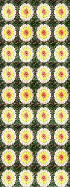 Düz Çiçek Elementleri Tasarımı. Raster illüstrasyonundaki çiçek desenli çizim. Süslü kumaş deseni. Renkli Bahar Teması çizim şablonu.