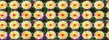 Tatil havası. Nazik romantik baskı. Raster güzel bir çiçek deseni çizmiş. Bahar mevsimi.