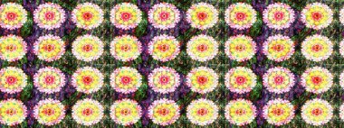 Düz Çiçek Elementleri Tasarımı. Renkli Bahar Teması eskiz kalıbı. Raster illüstrasyonundaki çiçek desenli çizim. Sarı ve yeşil renkte çiçekler.