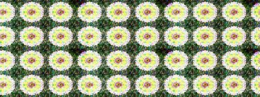 Raster illüstrasyonu. Raster deseni. Yeşil ve nötr renklerde yaz çiçekleri. Küçük çiçekte sevimli çiçek deseni var..