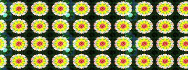 Raster illüstrasyonu. Çiçekli, yapraklı, çiçek desenli eskiz. El çizimi.