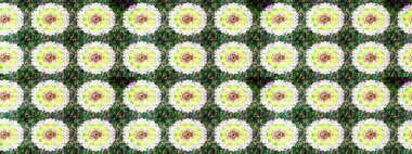Raster illüstrasyonu. Raster deseni. Yeşil ve nötr renklerde yaz çiçekleri. Küçük çiçekte sevimli çiçek deseni var..