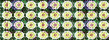 Raster illüstrasyonu. Robot resim. Küçük çiçekte sevimli çiçek deseni var..