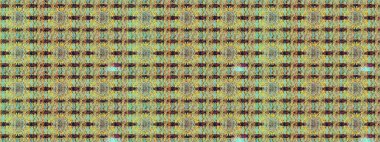 Düz Çiçek Elementleri Tasarımı. Çiçekli çizim şekli. Renkli Bahar Teması eskiz kalıbı. Tarafsız ve kahverengi renkte çiçekler.