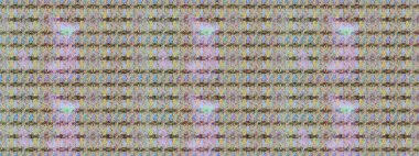 Raster illustration. Exotic flowers, botanical bright classic nature on neutral and gray colors. Watercolor set of vintage floral tropical natural elements.