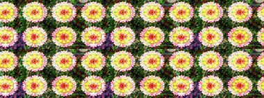 Tatil havası. Nazik romantik baskı. Raster güzel bir çiçek deseni çizmiş. Bahar mevsimi.