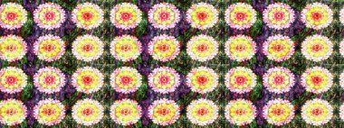 Düz Çiçek Elementleri Tasarımı. Renkli Bahar Teması eskiz kalıbı. Raster illüstrasyonundaki çiçek desenli çizim. Sarı ve yeşil renkte çiçekler.