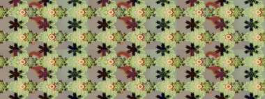 Çiçekler suluboya stilinde tarafsız ve gri renklerde. Çiçek izi. Suluboya çizim deseni.