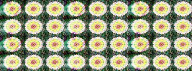 Raster deseni. Süslü kumaş deseni. Çiçekli çiçek deseni, suluboya..