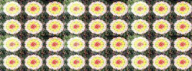 Renkli Bahar Teması eskiz kalıbı. Süslü kumaş deseni. Raster illüstrasyonundaki çiçek desenli çizim. Düz Çiçek Elementleri Tasarımı.