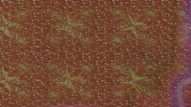 Renkli unsurlarla hareketli arka plan görüntüleri. Çiçekler. Eski model. Bayrak tarzı. Video kaydı. Şablon. Döngü. Kusursuz.. 