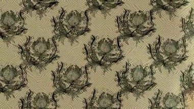 Renkli unsurlarla hareketli arka plan görüntüleri. Çiçekler. Eski model. Bayrak tarzı. Video kaydı. Şablon. Döngü. Kusursuz.. 