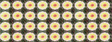 Arkaplan dokusu, duvar kağıdı, çiçek teması tarafsız ve yeşil renklerde. Kabile sanatı boho baskısı, klasik çiçek arkaplanı. Soyut etnik raster çizim kalıbı.