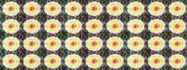 Flower composition. -neutral and yellow flowers. Floral background. Nature. Raster pattern. Floral collage. Nice pattern in the small flower.