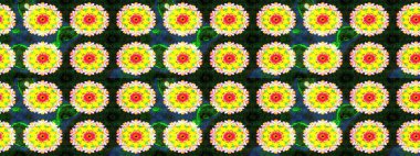 Şatafatlı bahar bahçesi dokusu. Flower eskiz arka planı. Raster illüstrasyonu. Çiçek deseni.